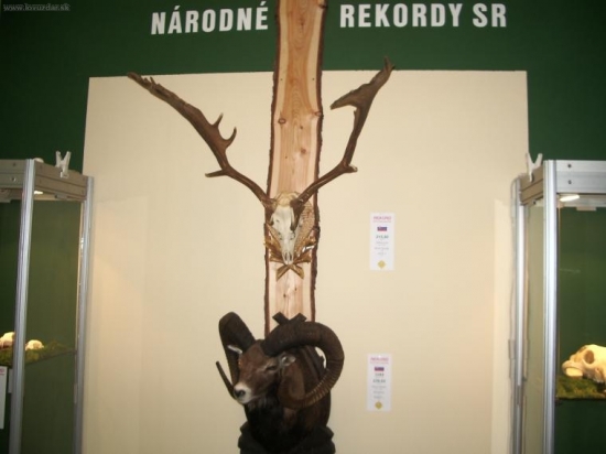 Národné rekordy 2005