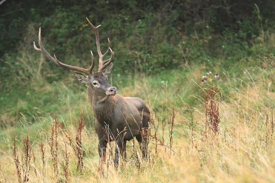 čakanie sa vyplatilo....