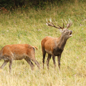 vydarená nedeľa:-)
