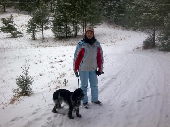 najlepsie reaguje na 