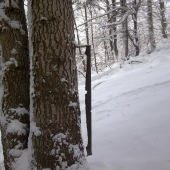 Nieco po nasich starkych