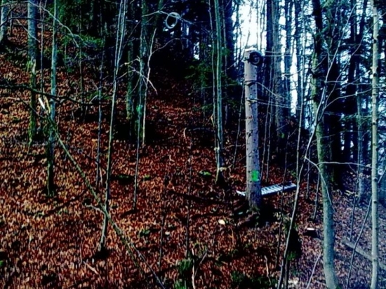 Larix 3T 4.stojisko odklonena trasa