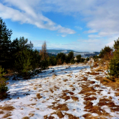 ...pod Brezovou /Levoča/