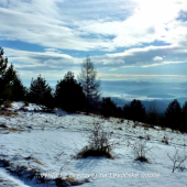 ...Brezová /Levoča/