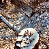 ...na Kotliskách :)