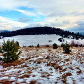 ...Brezová, hranica medzi Levočou a Javorinou