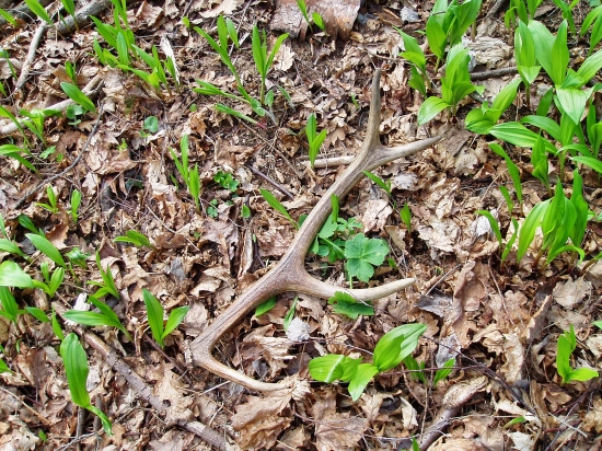 ...a dalši pekny :)