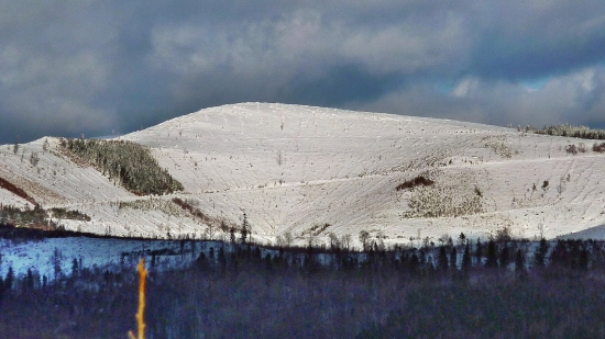 ...Gehuľa /Levočské vrchy-Javorina/