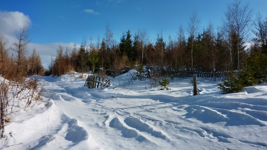 ...cestou na Kohwald:))