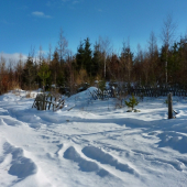 ...cestou na Kohwald:))