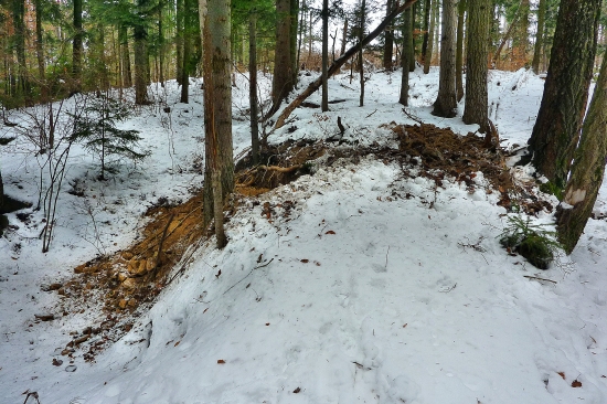 ...diviačia sila :))