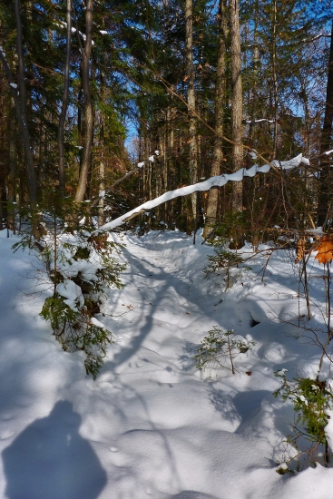 ...cestou na Brezovú :))