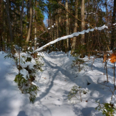 ...cestou na Brezovú :))