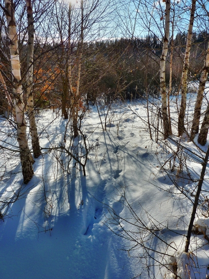 ...pri Kohwalde /Levoča/