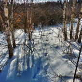 ...pri Kohwalde /Levoča/