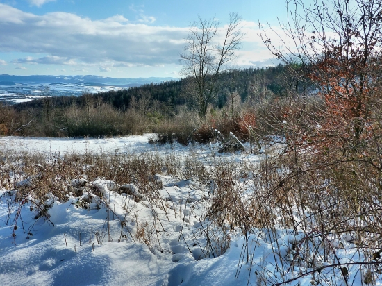 ...pri Kohwalde /Levoča/