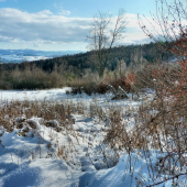 ...pri Kohwalde /Levoča/