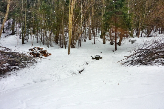 ...Zlatá studňa:))