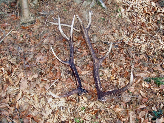 ...na prechádzke :))