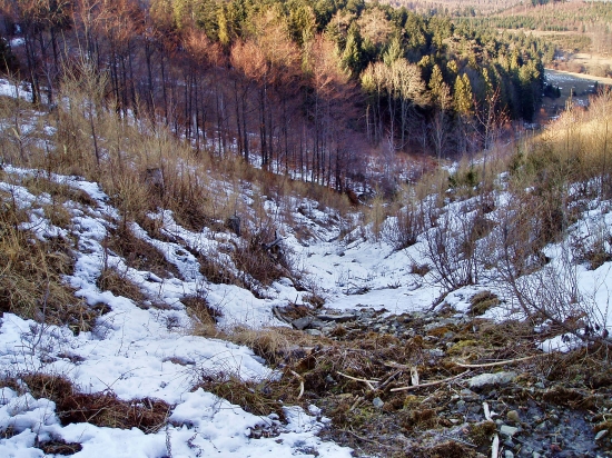 ,,,na prechádzke :)