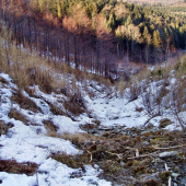 ,,,na prechádzke :)