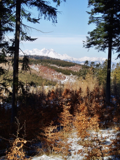 ,,,pekny výhlad :))