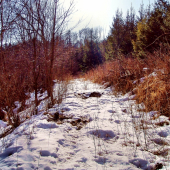 ...po chodničku :))