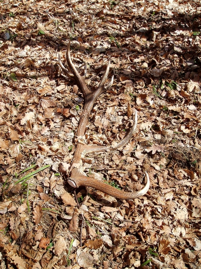 ...na prechádzke :))