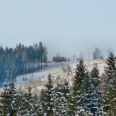 ...chata na Berestove