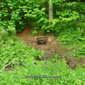 ...úprava a čistenie studničky :)