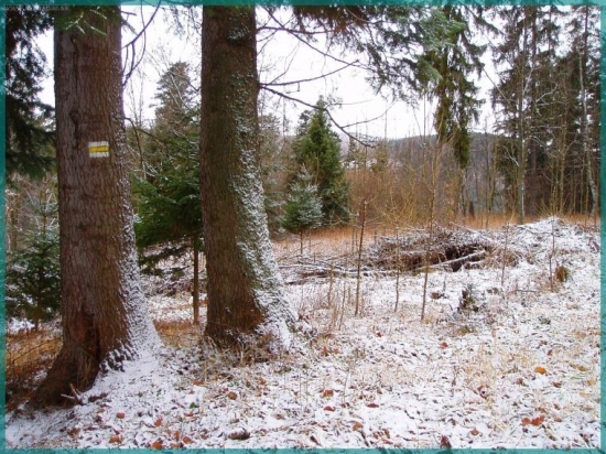 ...cestou z Kút na Kovačovú vilu