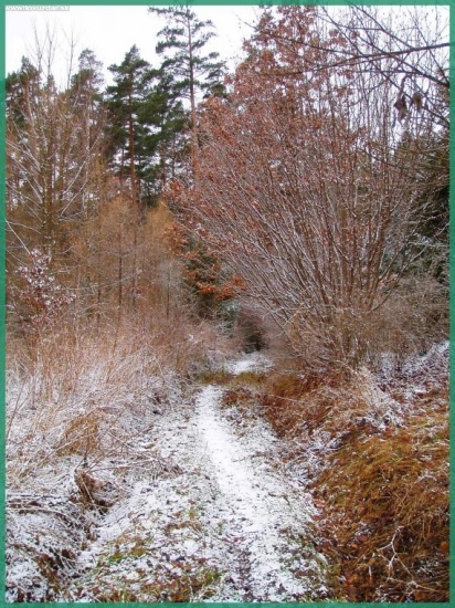 ...cestou z Kút na Kovačovú vilu