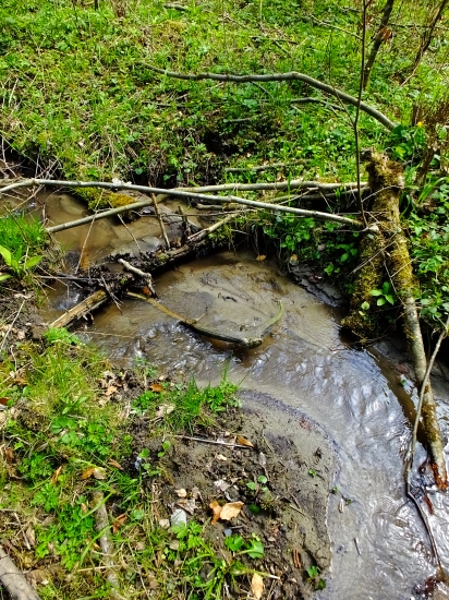 ...ešte jeden 12 - rák :)