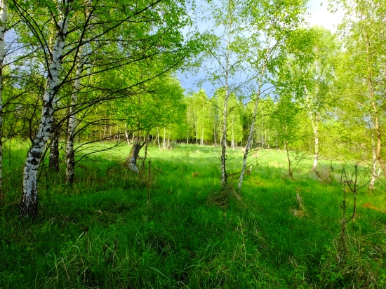 ,,,pod Malou Krásnou