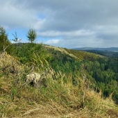 ...v pozadí Krížový vrch