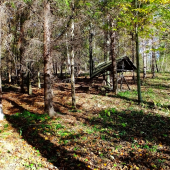 Roháče