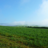 ...cestou na hubačku, krásne v hmle:))