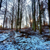 ...i taketo listnače máme :)