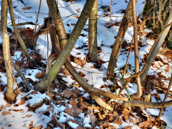 ...prekvapko na prechadzke :)