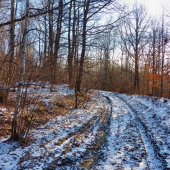 ...ale bolo krásne ránečko:))