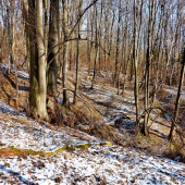 ...krása na Kotliskách:)