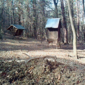 18.3.2012