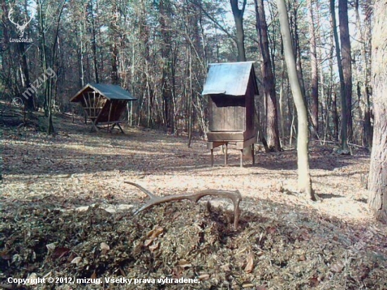 18.3.2012