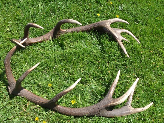 šestnásť torák z kravčieho jarku