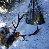 úhyn