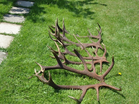 tie lepšie tohto ročné