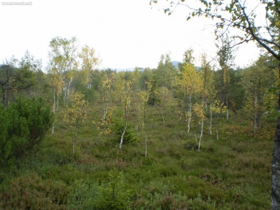 Chalupská slat
