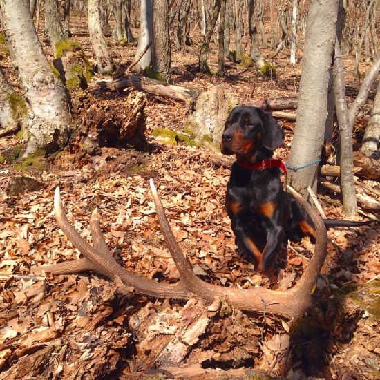 Konečne sa zadarilo