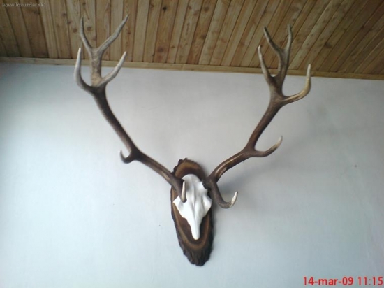 Nájdené minulý rok