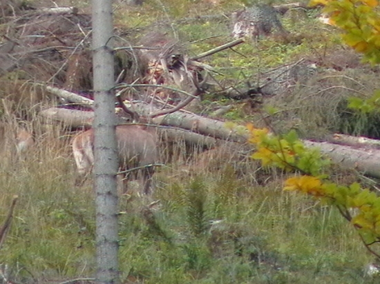 25.sep.2010